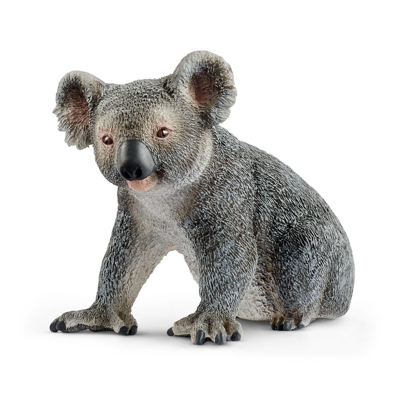 Schleich Figura Koala Macho