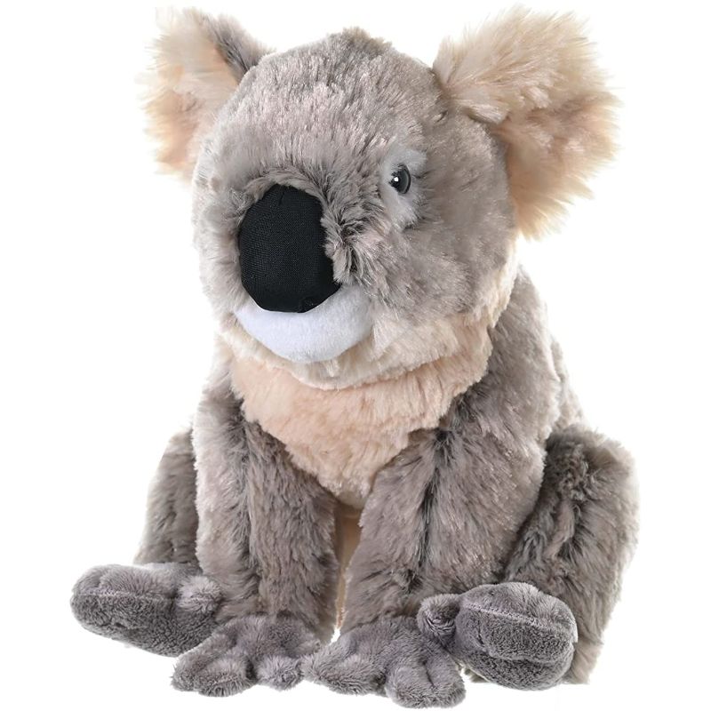 Peluche Koala Cuddlekins | Wild Republic