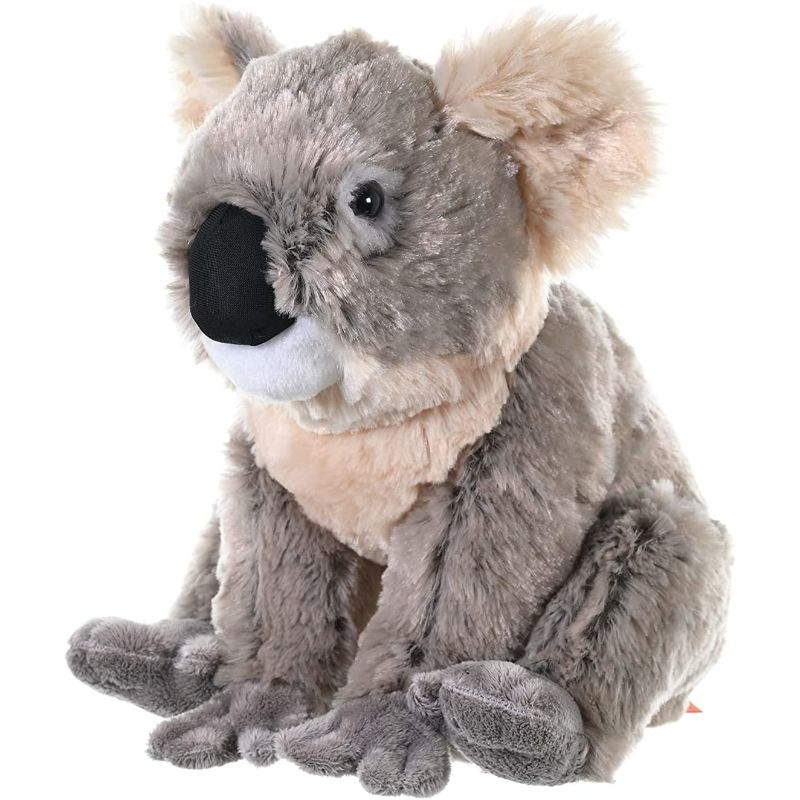 Peluche Koala Cuddlekins | Wild Republic