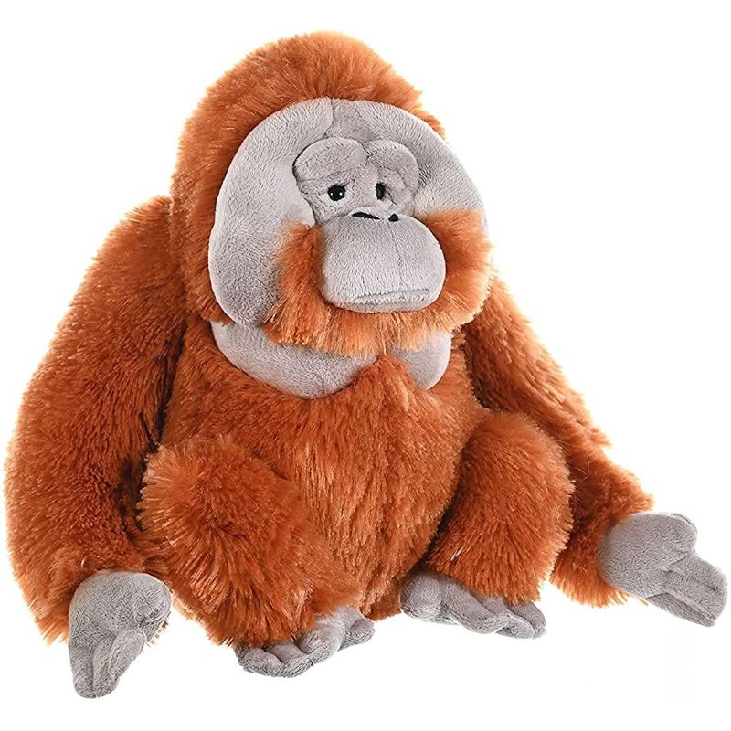 Peluche Orangután Cuddlekins | Wild Republic