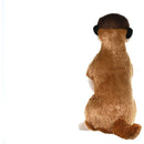 Peluche Suricata Cuddlekins | Wild Republic